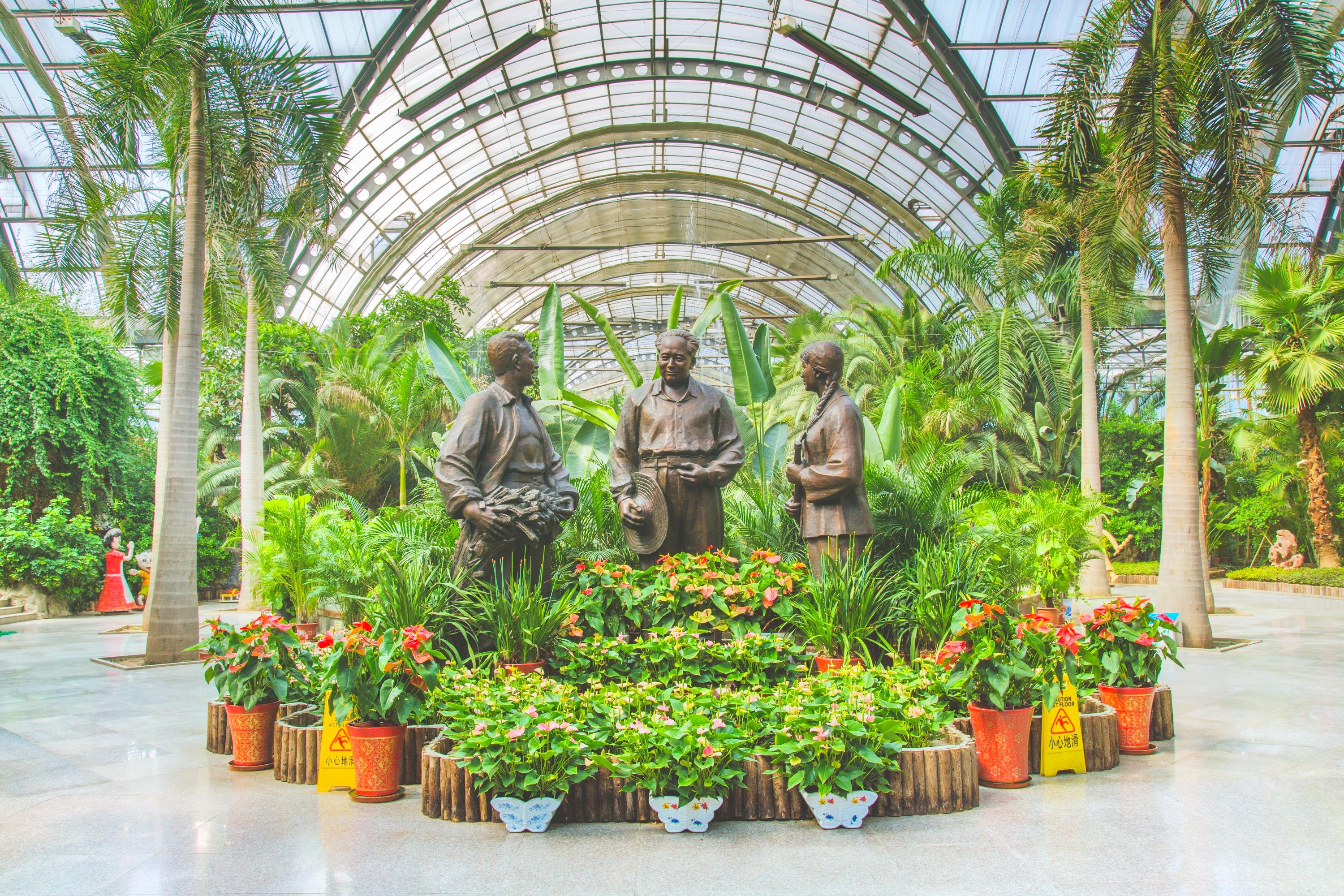 天津热带植物观光园
