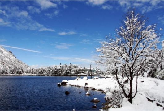 【攀西地区游客、学生专属福利】螺髻山一日游真纯玩一价全价【攀枝花、凉山籍游客凭本人有效身份证可享受】