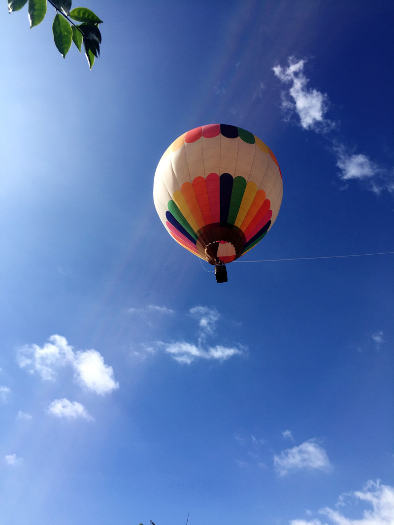 10080s000000hv7sxCB37_R_800_10000_Q90.jpg?proc=autoorient
