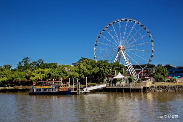 Fabulous 12 Things To Do In Brisbane Travel Notes And Guides