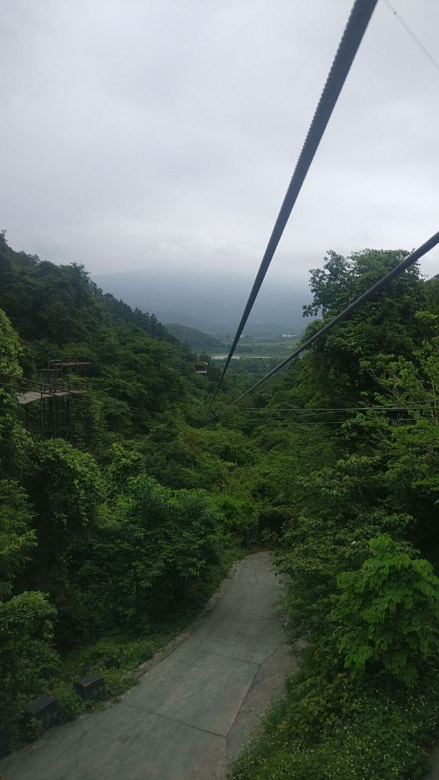 佛山南丹山森林王國攻略,佛山南丹山森林王國門票/遊玩攻略/地址/圖片