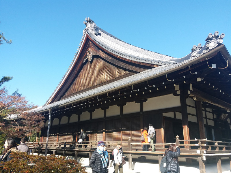 东京、箱根、京都、奈良、大阪,初见日本---从