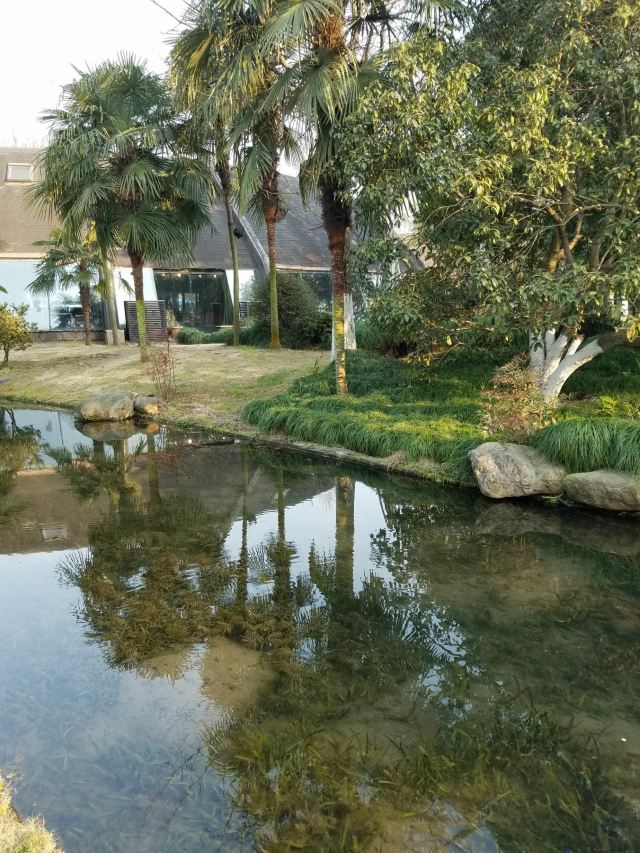 杭州初阳台攻略,杭州初阳台门票/游玩攻略/地址/图片/门票价格【携程