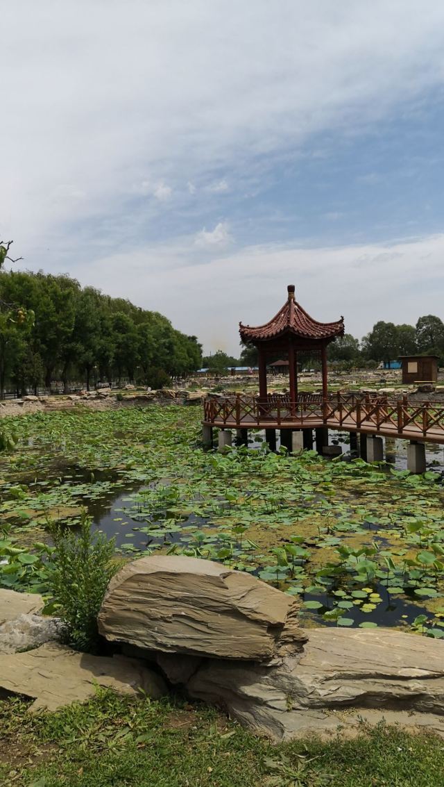 稻香湖自然湿地公园