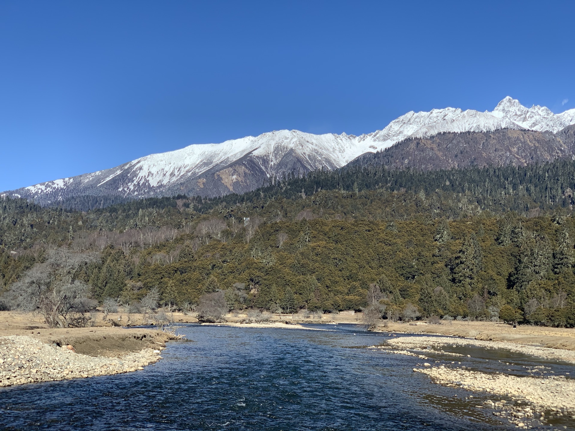 鲁朗贡措湖景区