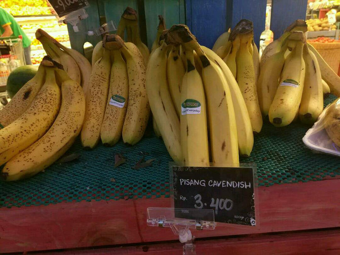 印度尼西亚巴厘岛游记 - 巴厘岛游记攻略