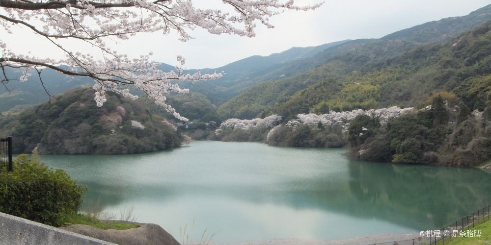 北九州昭和池公園 北九州昭和池公園旅遊攻略簡介當地玩樂門票酒店一覽 永安旅遊