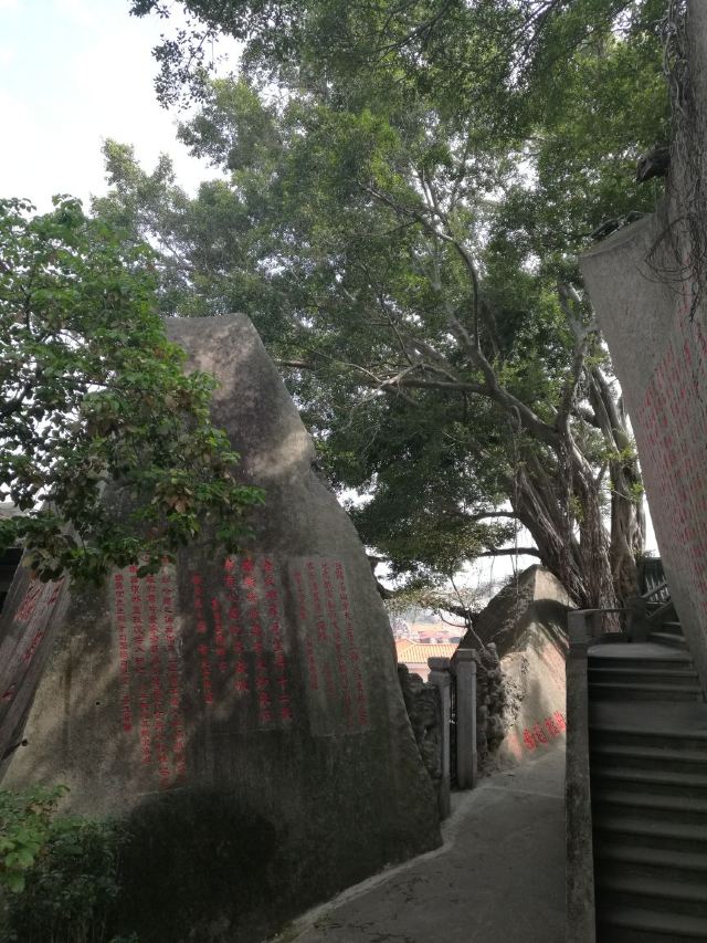 鼓浪屿古避暑洞攻略,鼓浪屿古避暑洞门票/游玩攻略/地址/图片/门票