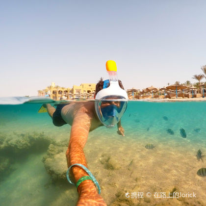 埃及赫尔格达红海潜水一日游