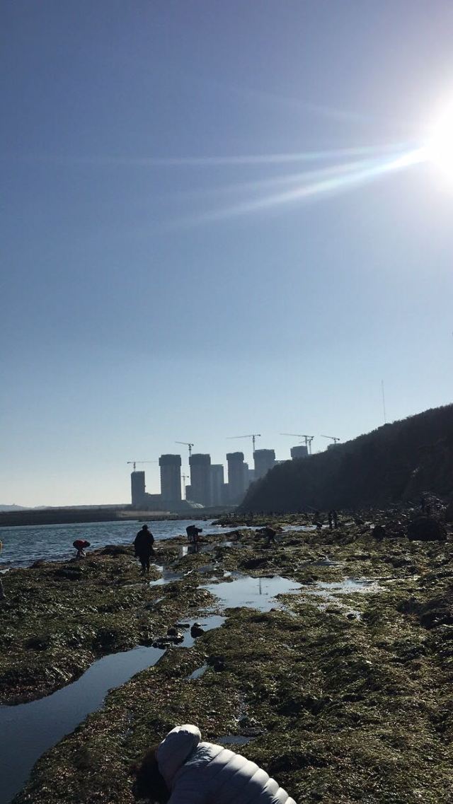 七贤岭公园沙滩图片