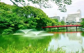 大阪府天王寺公园天气预报 历史气温 旅游指数 天王寺公园一周天气预报 携程攻略