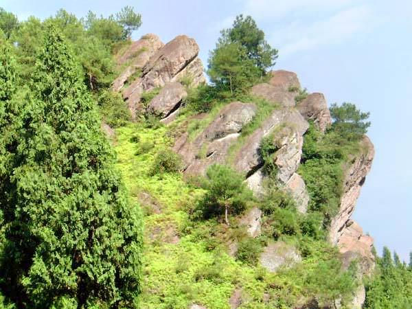 西双版纳猴山