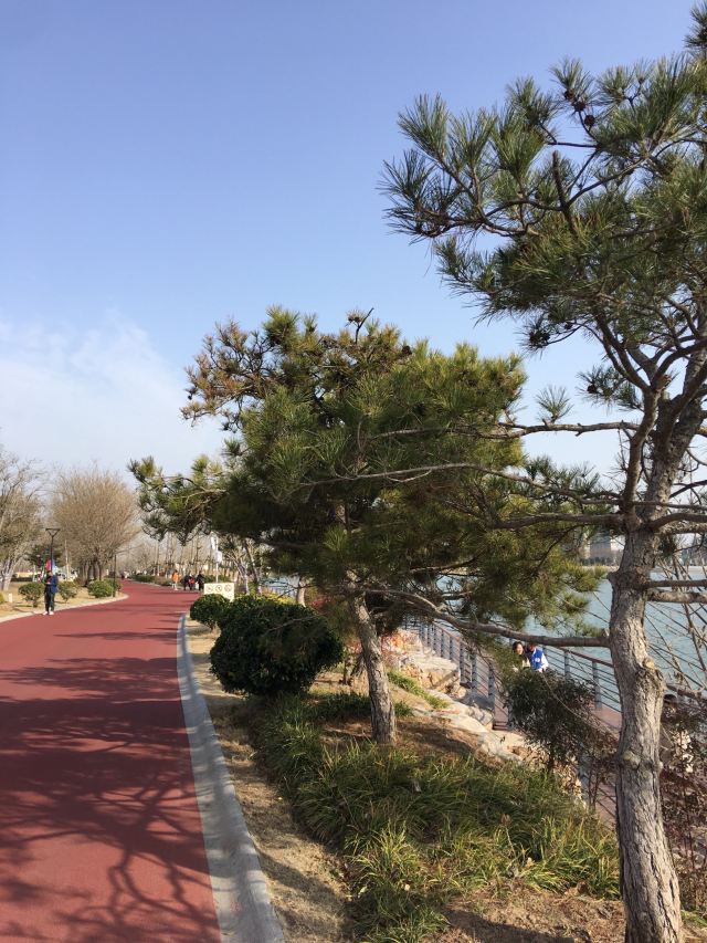 【携程攻略】商丘应天公园附近景点,应天公园周边景点攻略/指南