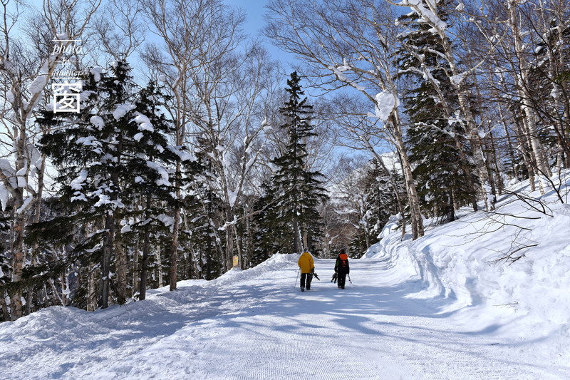 雪景怎么穿搭_雪景图片唯美