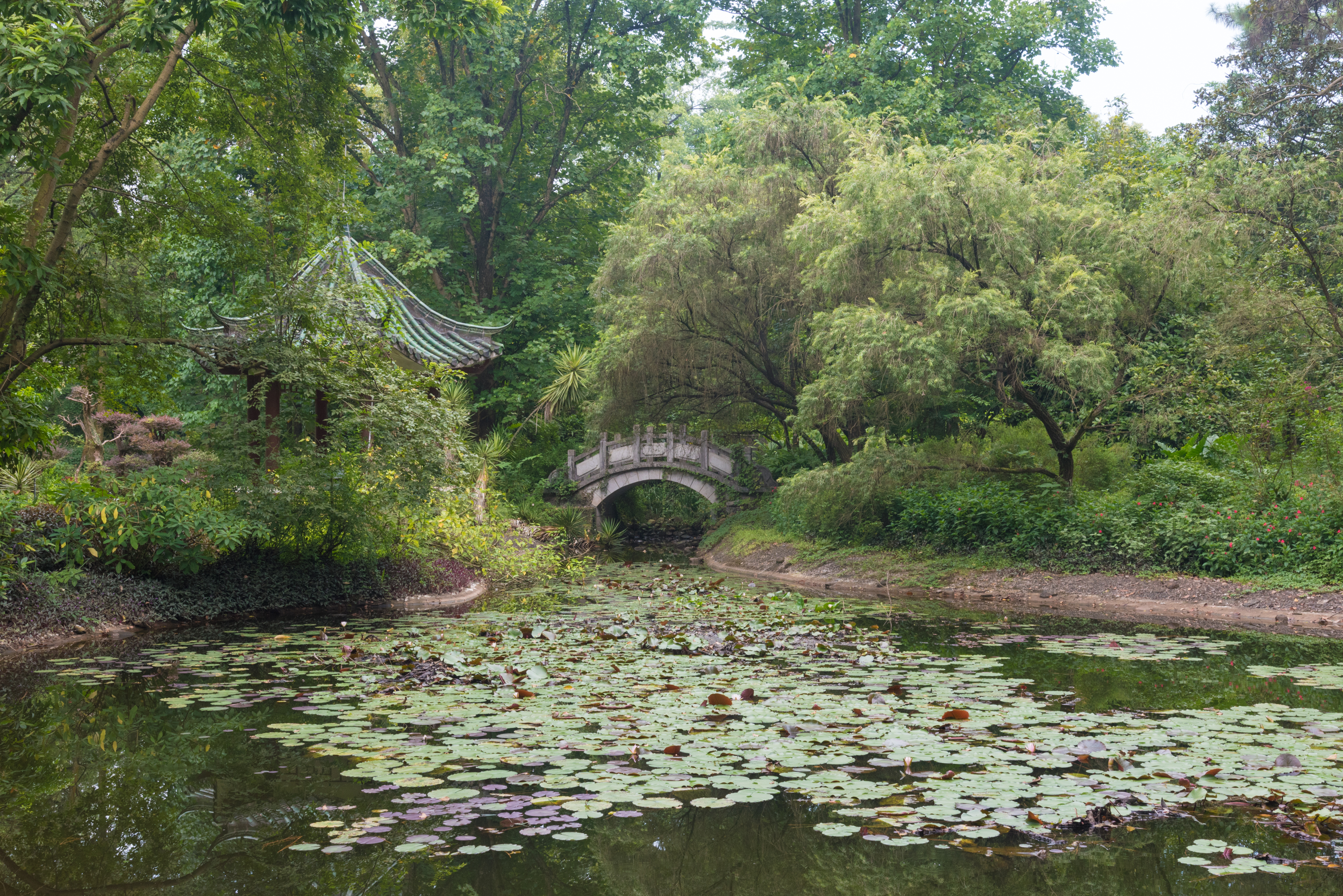 桂林植物园