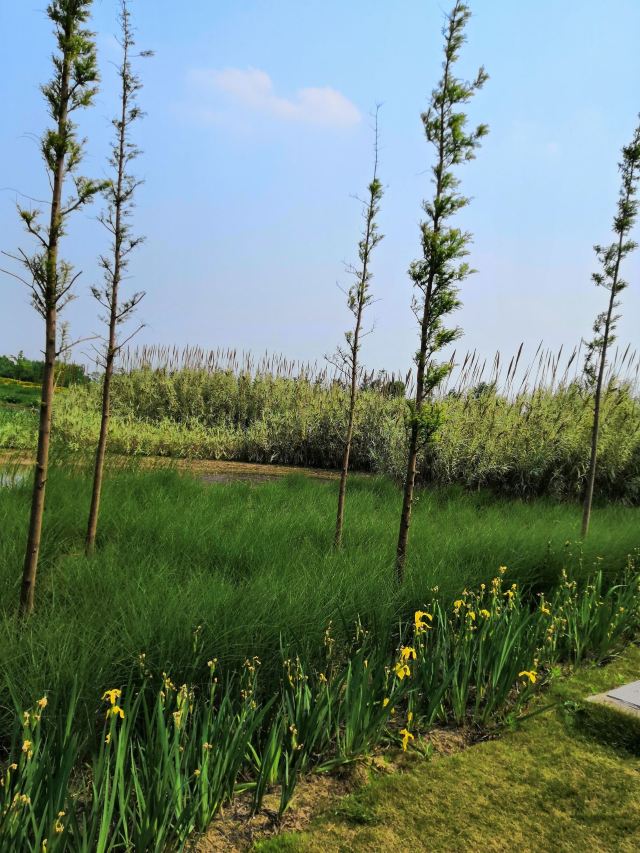 胡子缘生态景观庄园