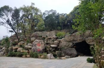 〖漳州郊野公园，漳州郊野公园在哪里漳州郊野公园小木屋〗