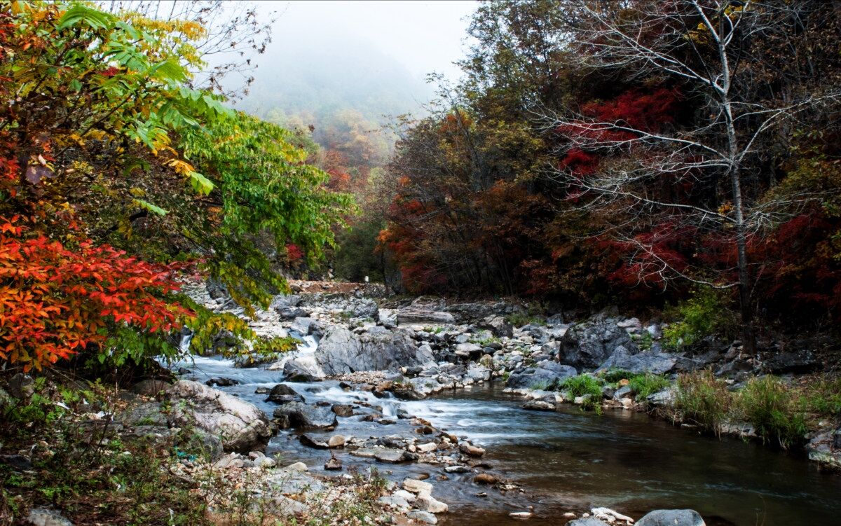 天华山国家森林公园