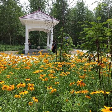 森林植物园