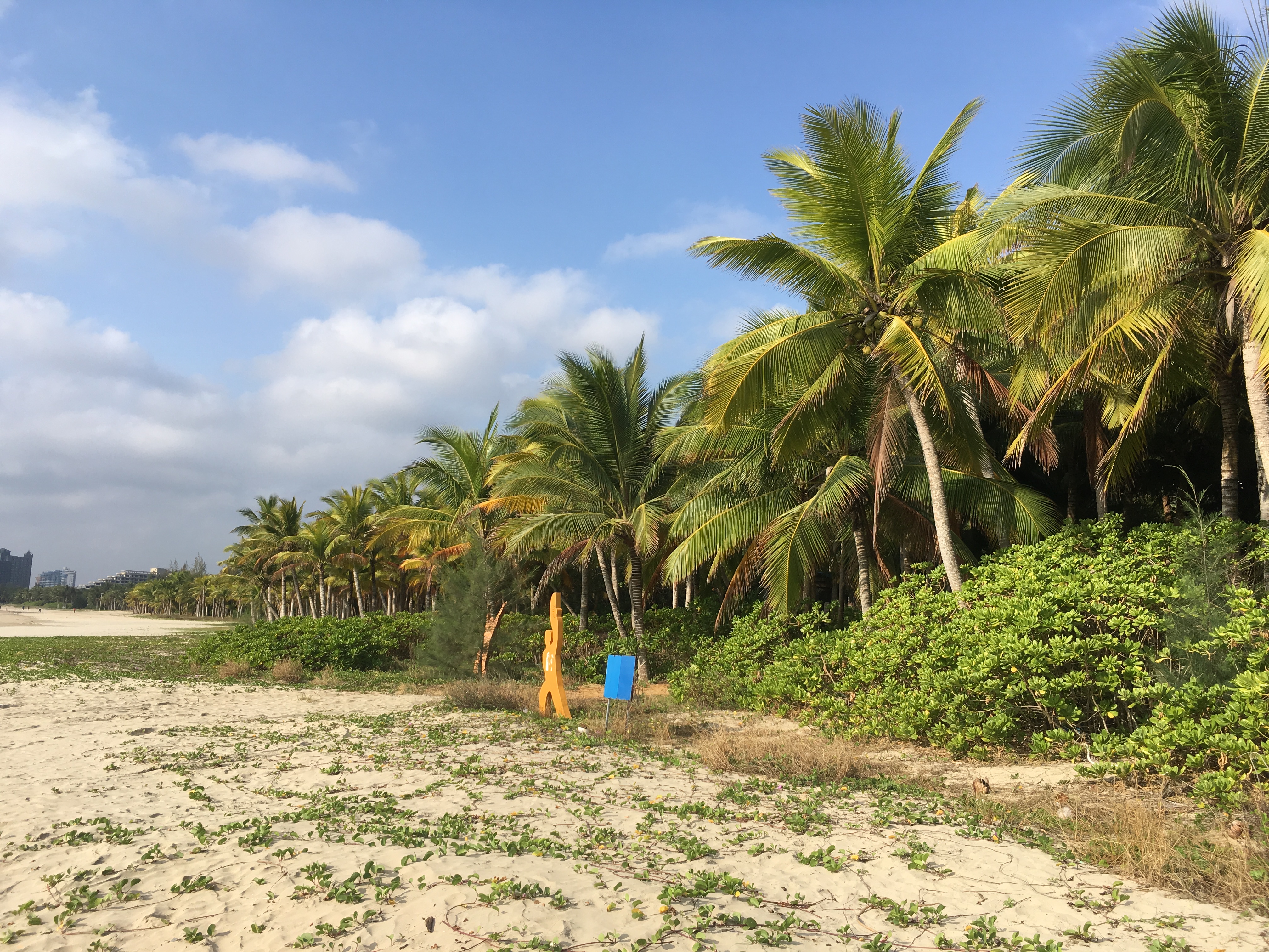 逸龙湾海上图书馆