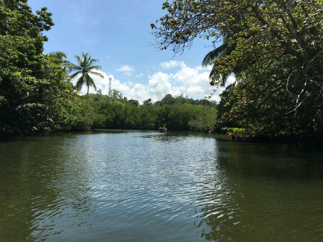 哐哧哐哧Sri Lanka(2) - 游记攻略【携程攻略】