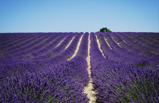 盛夏的阳光--地中海&爱琴海(2)