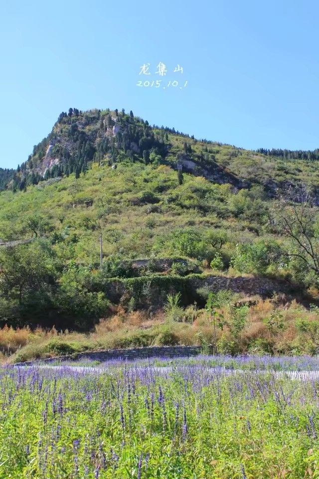 济南龙集山攻略,济南龙集山门票/游玩攻略/地址/图片/门票价格【携程