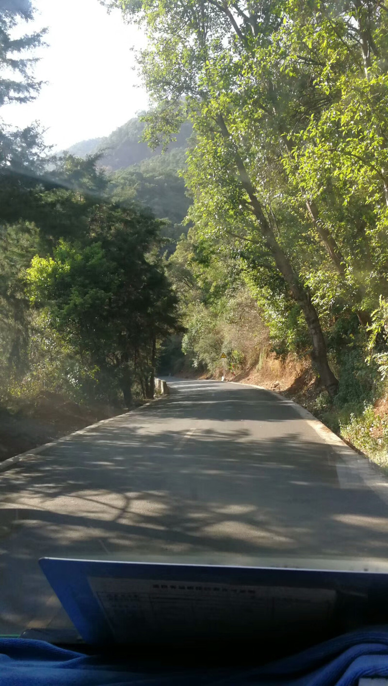 从鸡足山镇一路蜿蜒而上,能感觉到真是一座