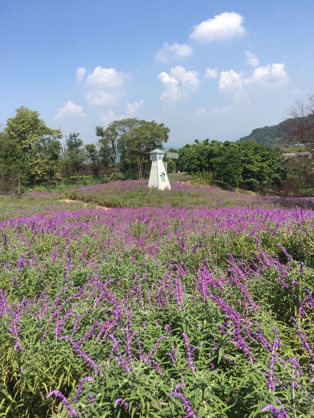 天坪山云林天乡