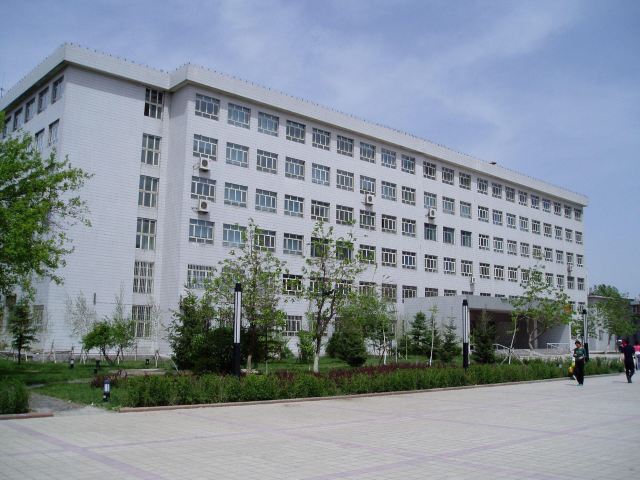 新疆大学校本部