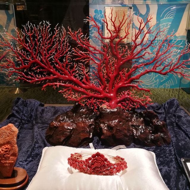 极品红珊瑚图片
