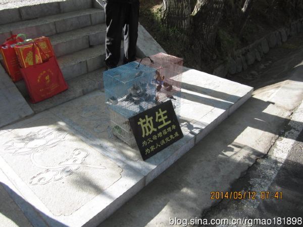 应县人口超_应县凉粉(2)