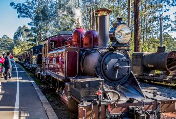 墨尔本普芬比利蒸汽火车+玛璐考拉和动物公园【包车丨赠门票】【[不可错过的复古火车]乘坐百年蒸汽火车穿梭宏伟的丹德农山】