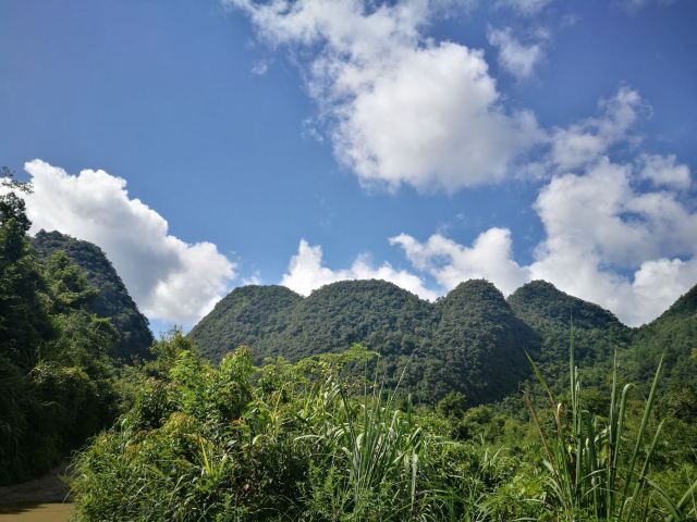 荔波龟背山观光车候车点攻略,荔波龟背山观光车候车点门票/游玩攻略