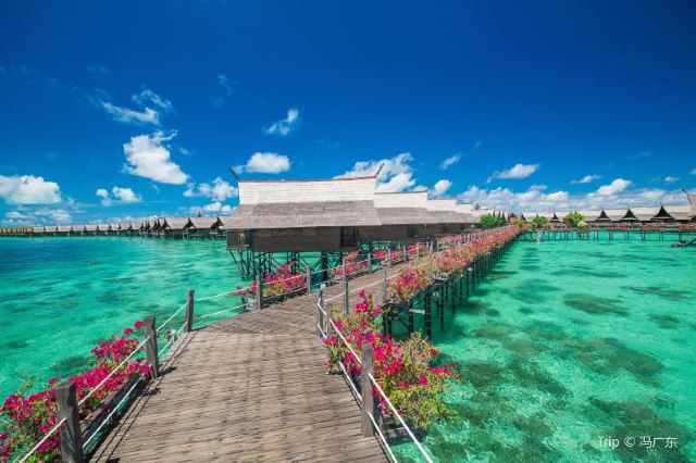 Guide to Semporna Island: Perfect Islands Near Semporna in Malay 2020
