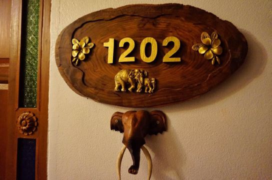 【清迈向北】带着老年团去泰国过年(2)