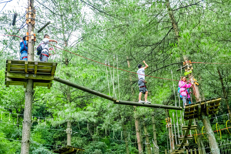 丛林飞跃:尽享天然山林的景观