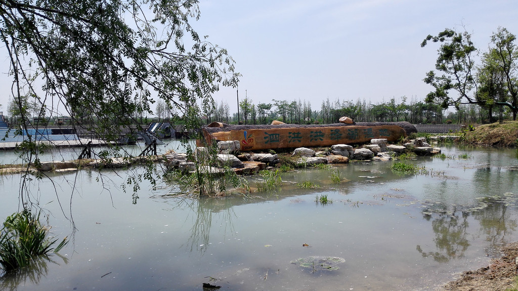 泗洪洪澤湖溼地