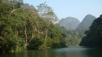 广西龙虎山自然保护区 (12)