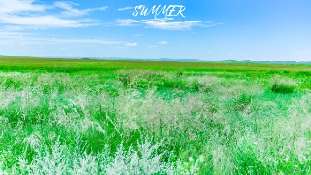 走近《狼图腾》拍摄地,梦圆天边草原乌拉盖