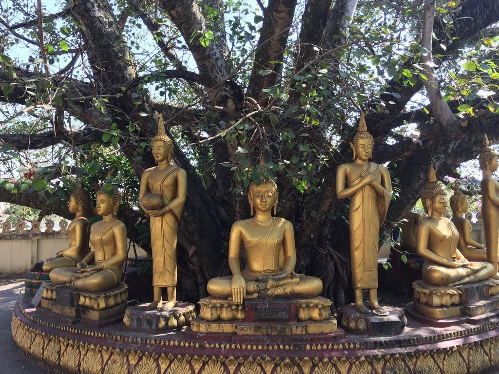 吊儿郎当逛寮国