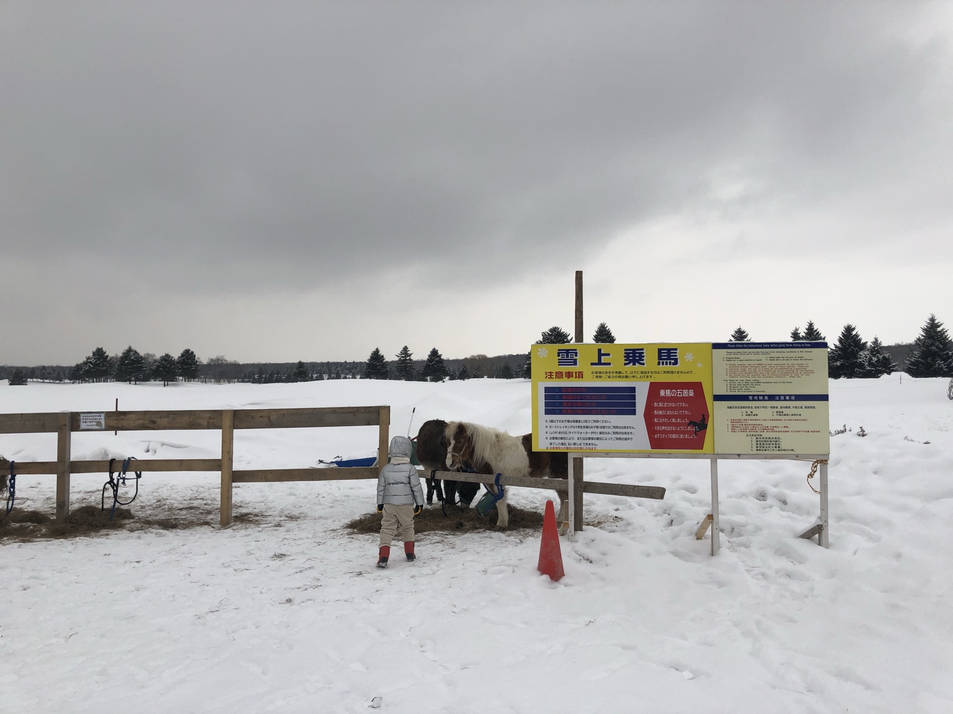 日本北海道支笏湖一日游 北方雪上乐园 支笏湖冰涛节 线路推荐 携程玩乐