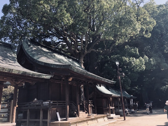 太宰府天满宫 由布院温泉 别府地狱一日游 福冈发太宰府汤布院别府youtourbus最实惠温泉一日游 线路推荐 携程玩乐