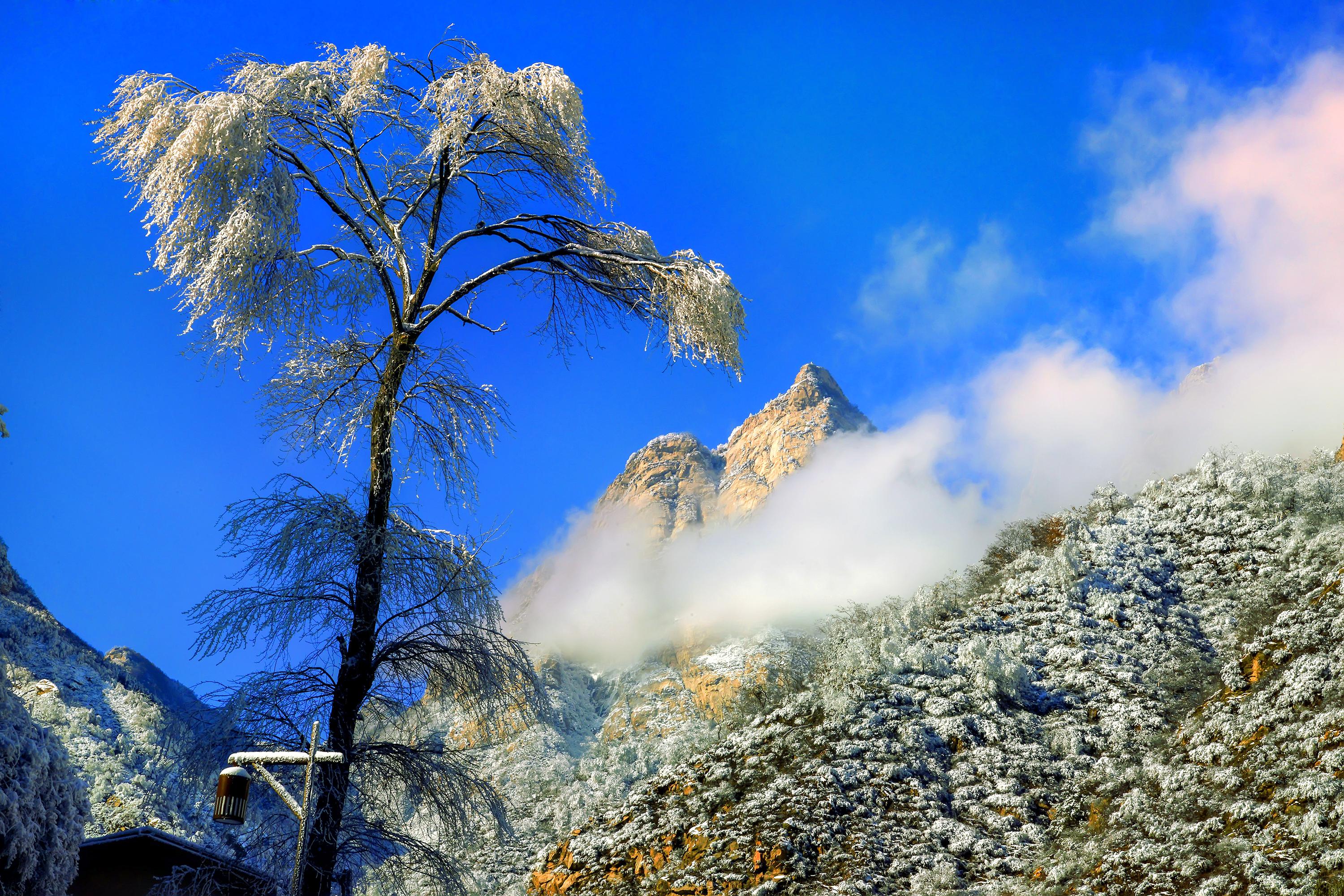 漫山花溪谷