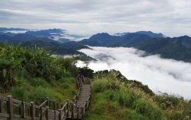 阿里山乡二延平步道天气预报 历史气温 旅游指数 二延平步道一周天气预报 携程攻略