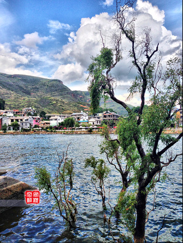 直播#大理:因为喜欢王菲,所以爱上大理(下关听风,双廊赏花,古城驮月