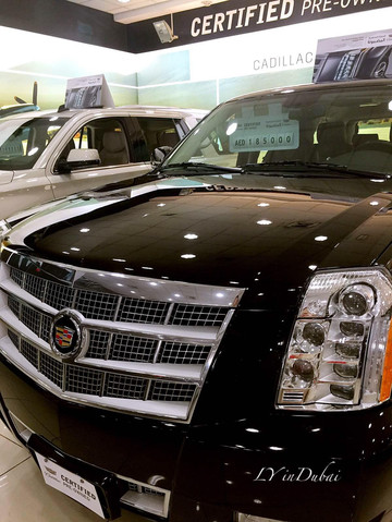 多便宜三分之一,高端豪车有的便宜一半,比如兰博基尼大牛,80万迪拉姆