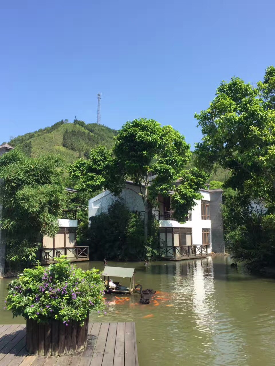 快刀唰唰廣東溫泉民宿攻略之河源熱龍溫泉度假村