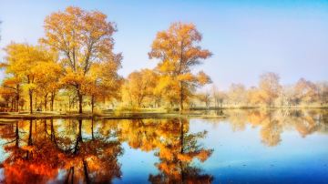 hellorf_2235169037