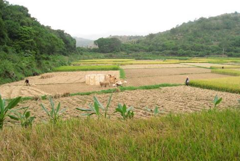 高甸村铜厂村